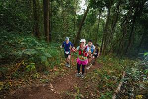 BIB: 
                            <button type="button" onclick="openModal(22471231)" class="btn btn-primary btn-sm float-right btn-popup" data-toggle="modal" data-target=".modal-high-quality">
                        <i class="fas fa-shopping-cart"></i> Add to Cart
                    </button>
                                            <button type="button" onclick="isThisMe(22471231, true)" class="btn btn-success btn-sm float-right btn-popup btn-isme hidden" data-toggle="tooltip" data-placement="bottom" title="นี่คือรูปของคุณใช่ไหม คลิกที่นี่เพื่อเอาเข้าอัลบั้ม">
                        <i class="fas fa-plus"></i> Add to album
                    </button>
                    <button type="button" onclick="isThisMe(22471231, false)" class="btn btn-warning btn-sm float-right btn-popup btn-isnotme hidden">
                        <i class="fas fa-ban"></i> Remove from album
                    </button>